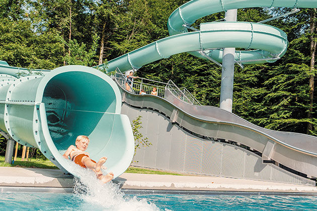 Wild Forest Slide